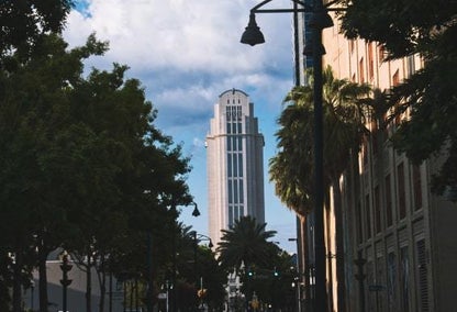 Street view of trees and buildings in downtown Orlando, FL