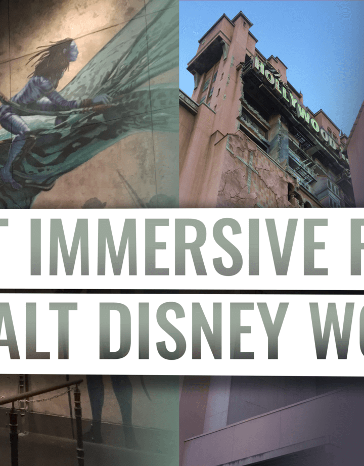 Top 10 Most Immersive Rides at Walt Disney World