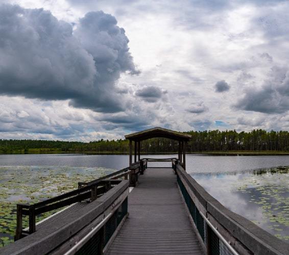 Boardwalk at Lake Louisa State Park, Clermont