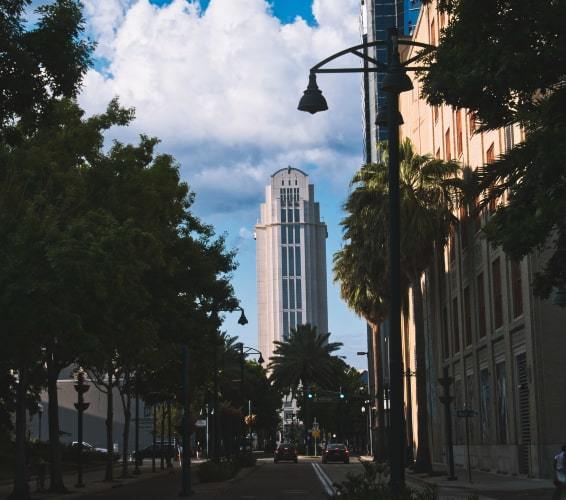 Street view of trees and buildings in downtown Orlando, FL