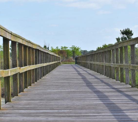 Boardwalk at Lake Toho near Saint Cloud, FL