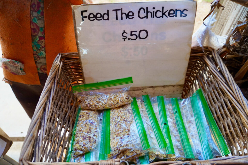 Chicken Feed for .50