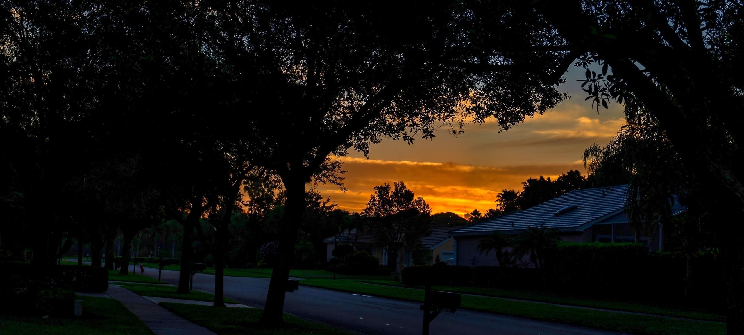 Sunset through silhouettes of trees on residential golf area street, Orlando