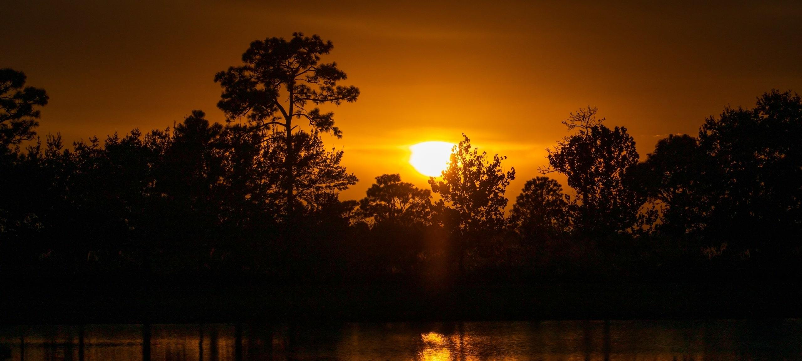 Orange sunset through silhouettes of trees with lake reflections, Bay Hill