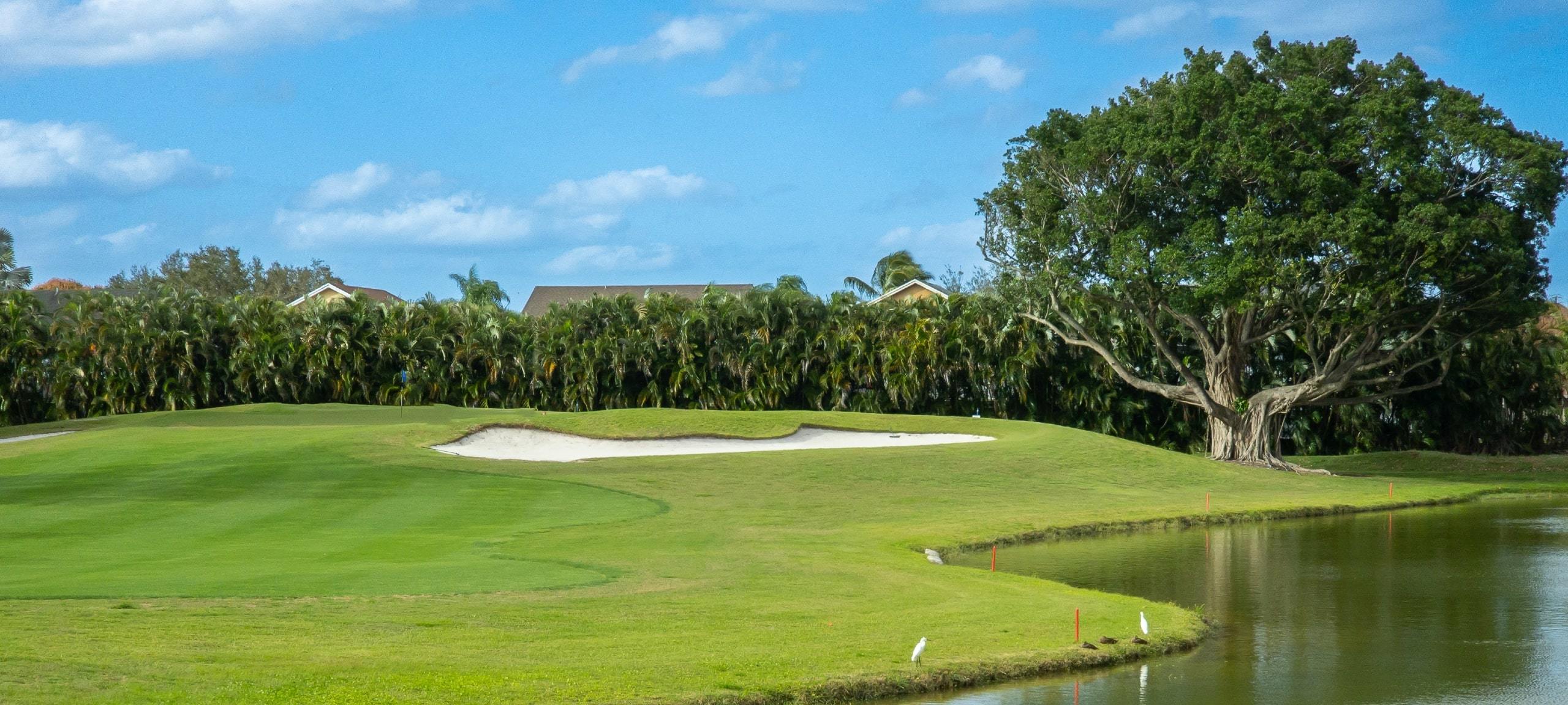 Central Florida area golf course with rolling green hills and blue sky