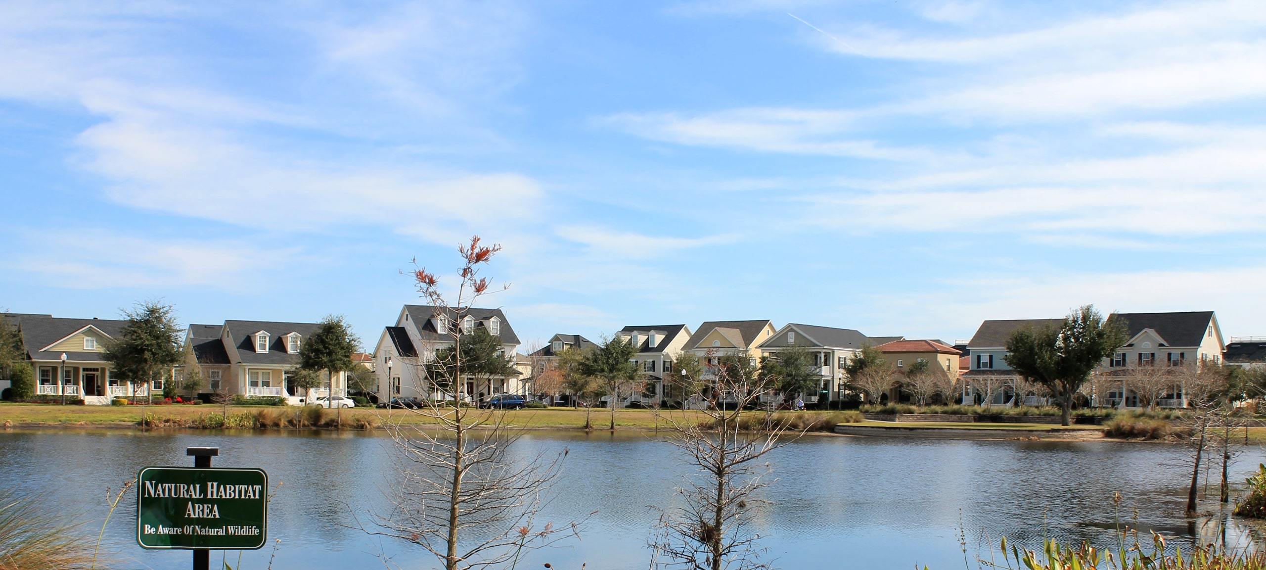 A quaint line of single-family homes as seen from a park in Orlando, FL.